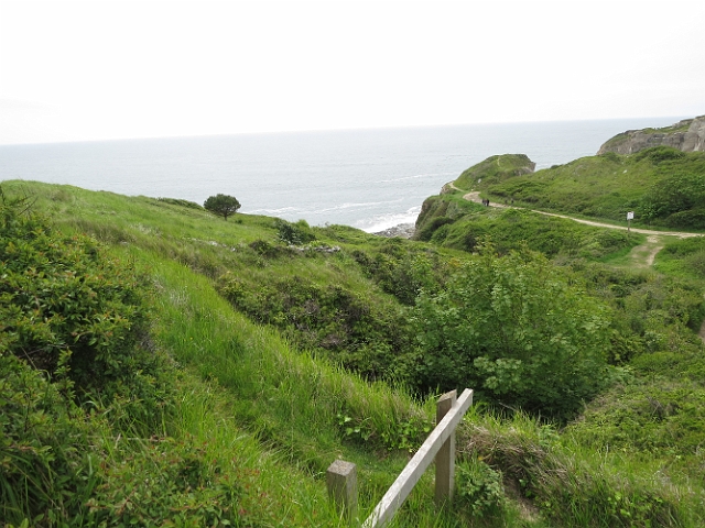 19 05 16_6541.JPG - WORTH MATRAVERS TO THE JURASSIC COAST, ISLE OF PURBECK, DORSET - 19.5.16